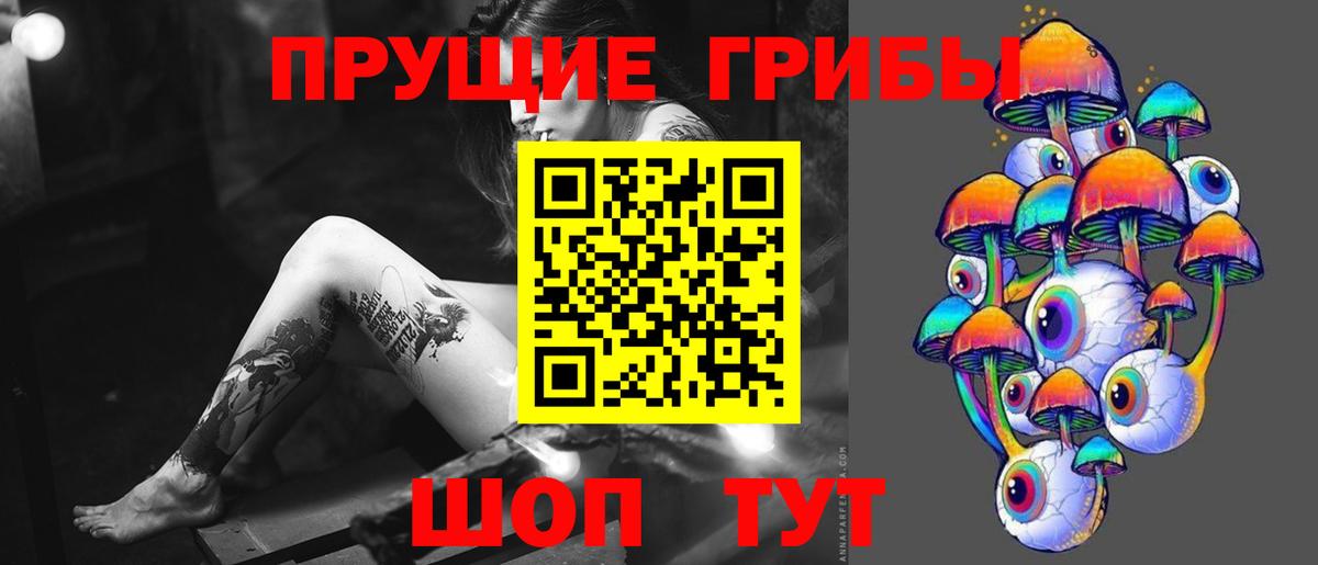 Псилоцибиновые грибы Psilocybine cubensis Электросталь