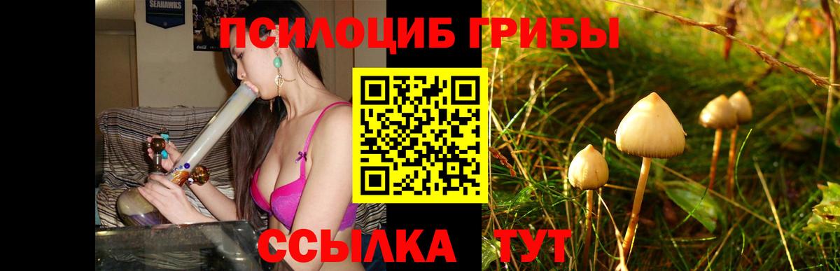 Электросталь  Псилоцибиновые грибы мицелий  Вход с VPN  Галлюциногенные грибы Magic Shrooms 